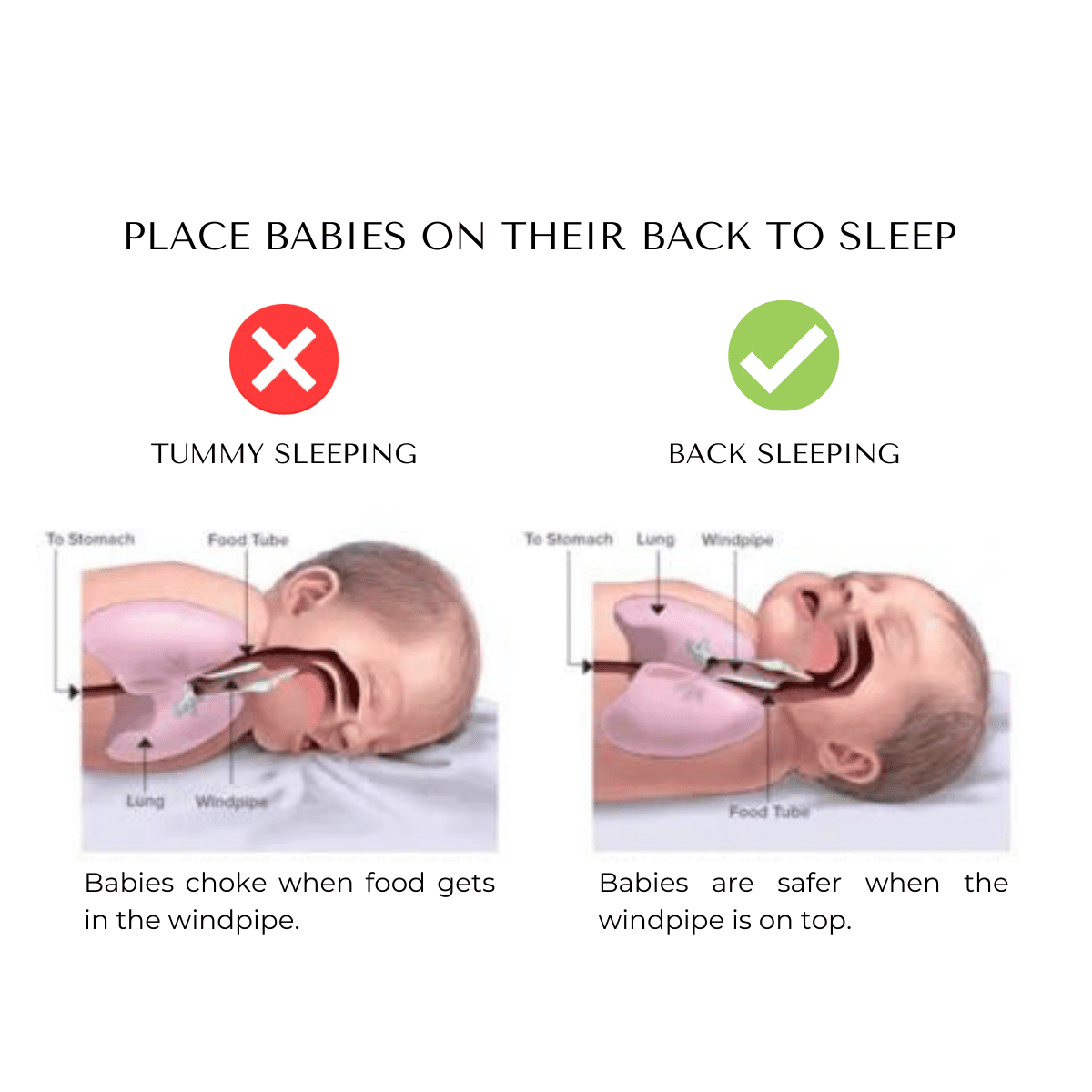 Babycush Infant Neck Support Pillow Product Image 03