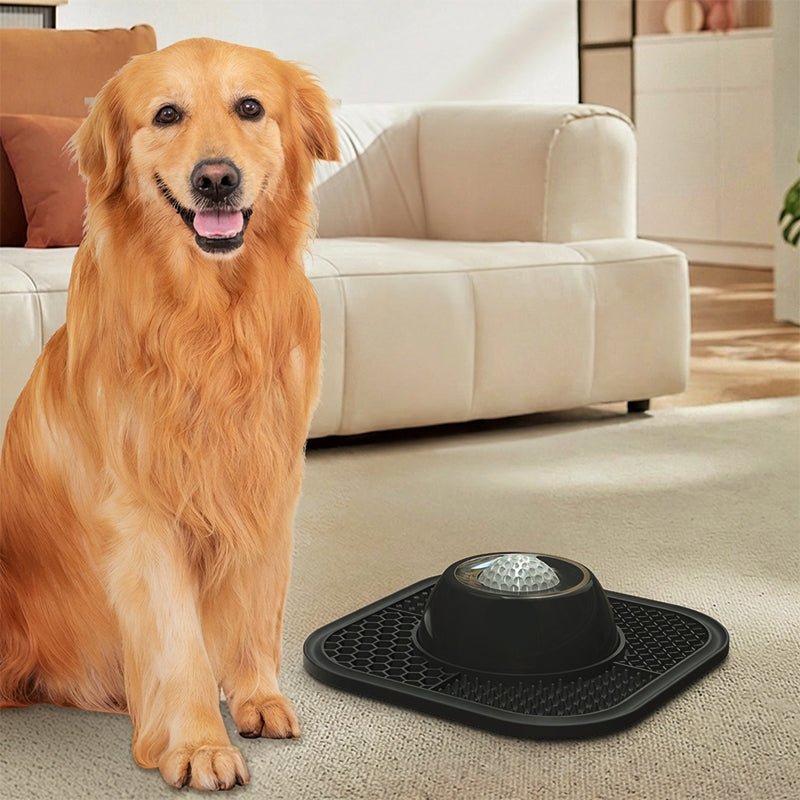 Balanced Pace Silicone Slow Feeder Dog Bowl Product Image 06