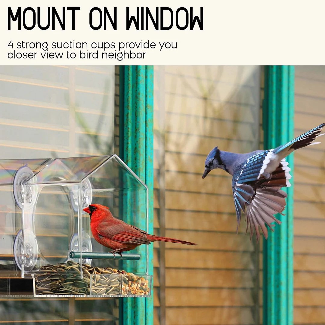 Brightview Glass Mount Bird Feeder Product Image 02