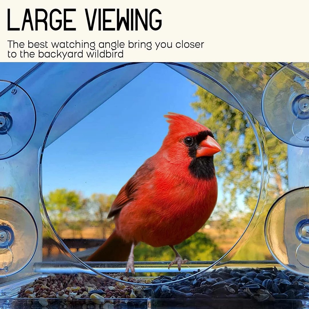 Brightview Glass Mount Bird Feeder Product Image 03