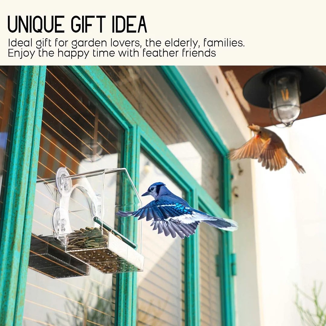 Brightview Glass Mount Bird Feeder Product Image 05