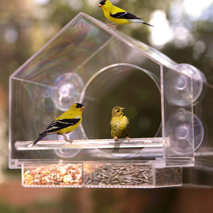 Brightview Glass Mount Bird Feeder Product Image 06
