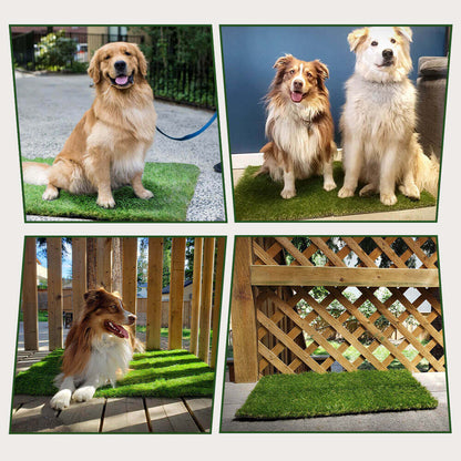 Dailypatch Indoor Dog Grass Potty Pads Product Image 01