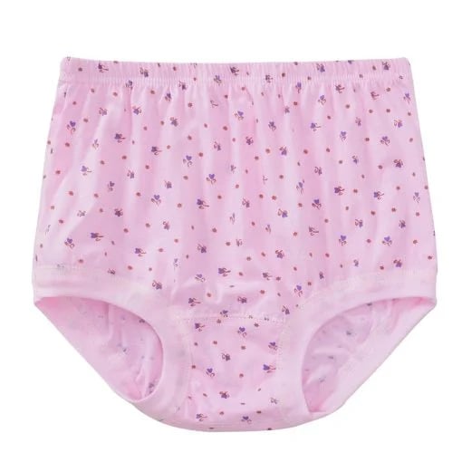Luna Pure Cotton High Waist Briefs Product Image 10