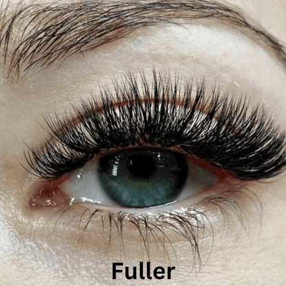 Radiant Magnetic Lash Kit Applicator Mirror Case Product Image 11