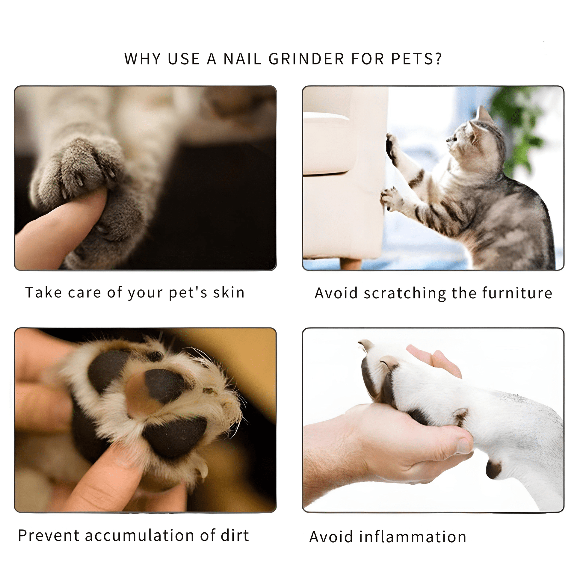 Serenipaw Usb Pet Nail Grinder Product Image 03