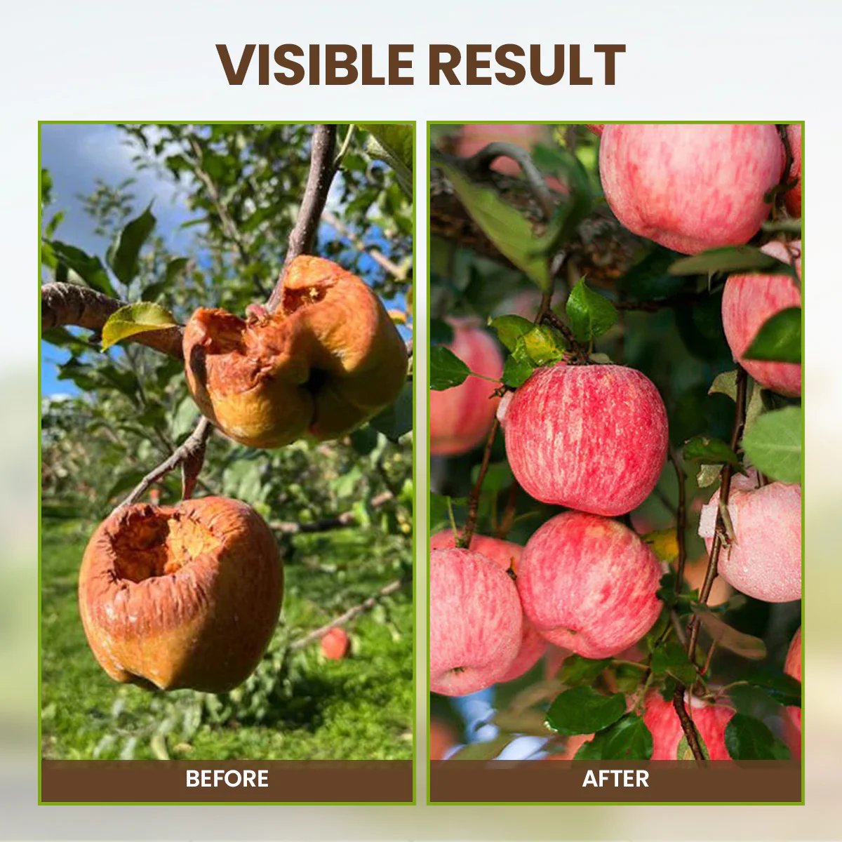 Sproutboost Organic Plant Nutrient Mix Product Image 05