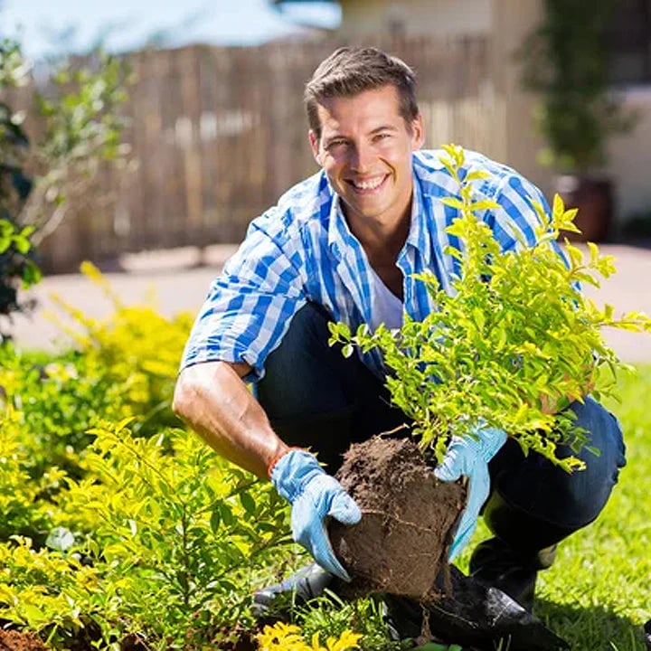 Sproutboost Organic Plant Nutrient Mix Product Image 08