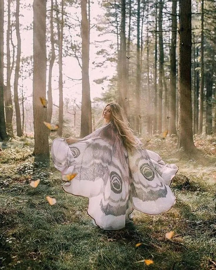 Starlit Moth Wing Chiffon Cape Product Image 04