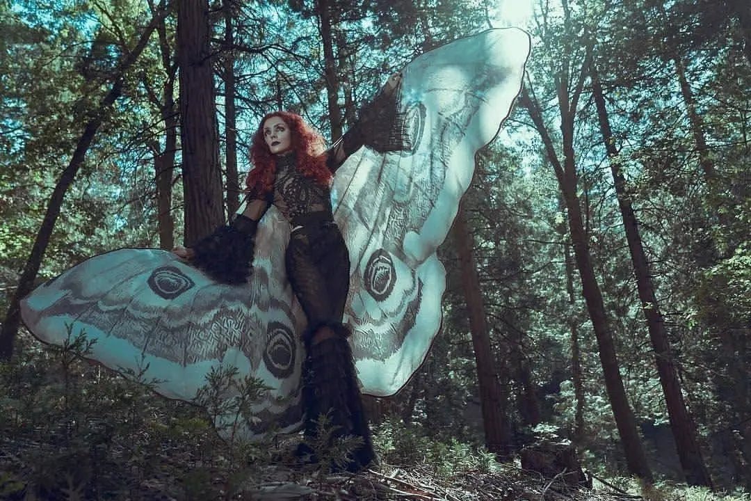 Starlit Moth Wing Chiffon Cape Product Image 07