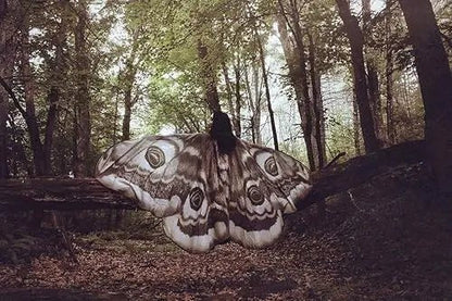 Starlit Moth Wing Chiffon Cape Product Image 08