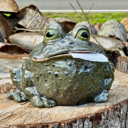 Tabletop Toad Tissue Dispenser Resin Holder Product Image 07