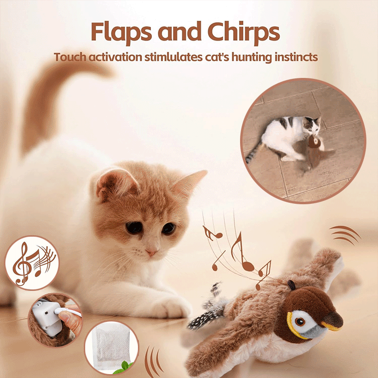 Twitchwing Interactive Cat Bird Toy Product Image 01