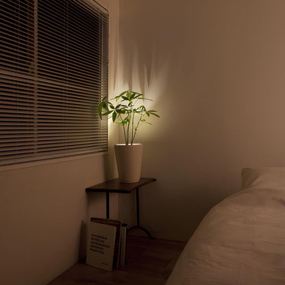 Wall Glow Accent Light Remote Timer Product Image 08