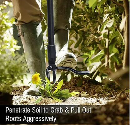 Weedease Stand Up Four Claw Weed Puller Product Image 04