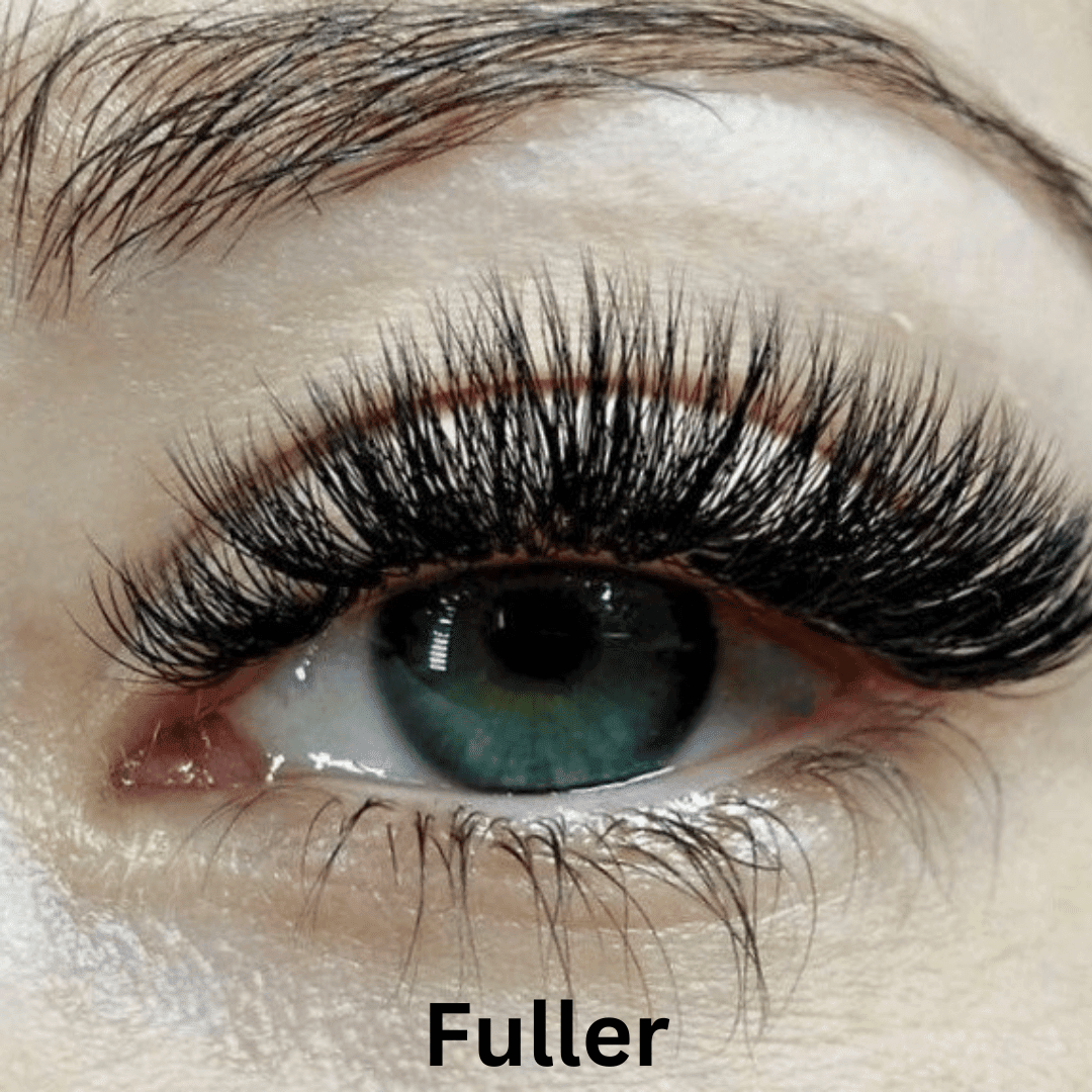 Zenlash Magnetic False Lash Kit Product Image 11