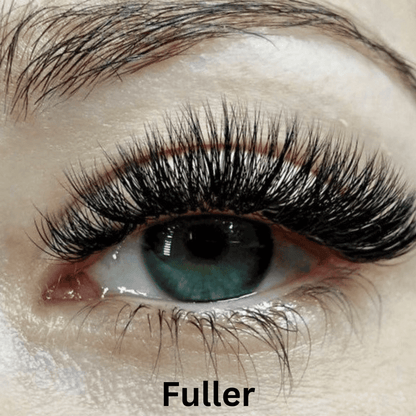 Zenlash Magnetic False Lash Kit Product Image 11